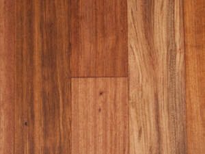 Brazilian Cherry – 5″