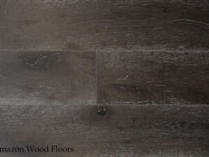 European Oak Quercus Murcia - Image 3
