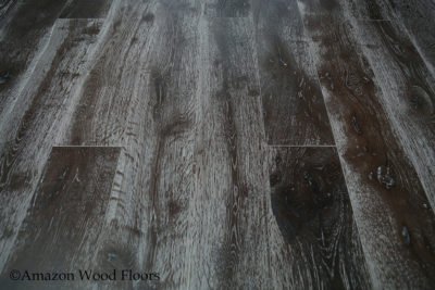 SSEO-1522-European-Oak-Quercus-Murcia-41