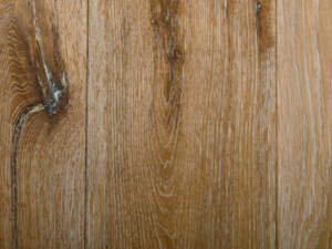European Oak Antiquity