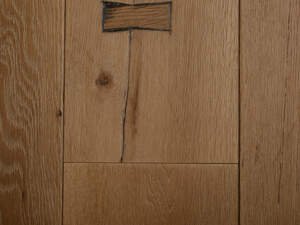European Oak Vestige