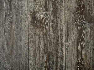 European Oak Trussel