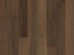 Santa Cruz European Walnut
