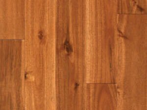 Acacia Bronze