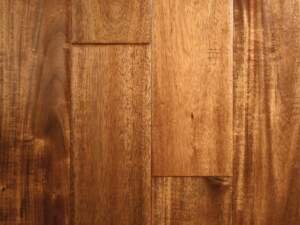 Acacia Bronze