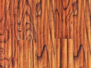 Wild Toona Caramel - Image 1