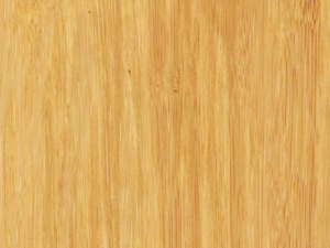 Synergy One Wheat