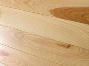Birch Neutral