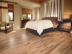 Yellow Birch Exclusive Smooth