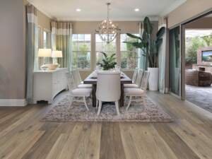 Modern Craftsman Lakeside