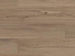 Baywood Oak