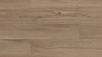 Baywood Oak