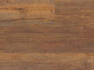 Carolina Pine