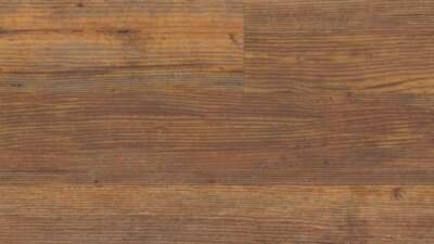 Carolina Pine