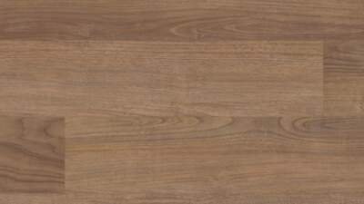 Dakota Walnut