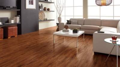 Gold Coast Acacia