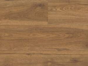 Marsh Oak