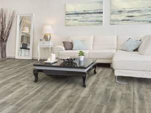 Mont Blanc Driftwood