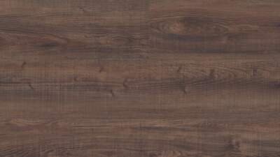 Olympic Pine