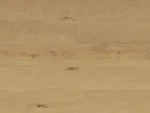 REWARD TERRENO EURO OAK CONTE