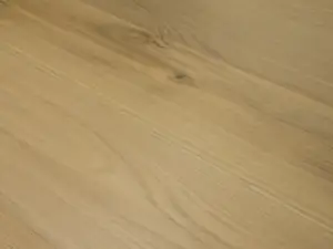 REWARD TERRENO EURO OAK CONTE