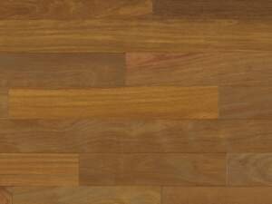 Brazilian Chestnut Natural