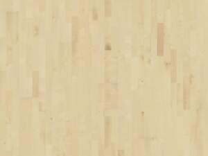 EUROPEAN MAPLE GOTHA / 3-strip floor