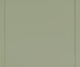 KC3007 Olive Green