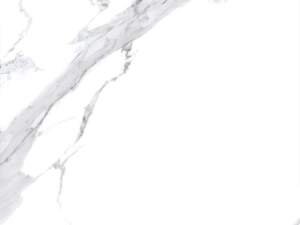 Carrara White Porcelain Tiles