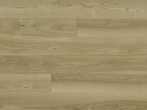 Scorza Verano Collection