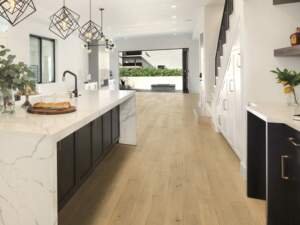 Contempo Collection Getty