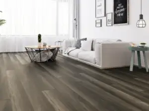 Manoa Paradigm Flooring Insignia 20MIL WPC installed in small living room — cool charcoal grey with modest tones — Hayward