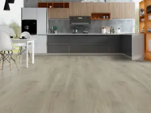 Parliament Paradigm Flooring Conquest 20MIL SPC installed in kitchen — light neutral grey with gentle tones — Redwood City