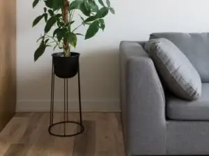 Westlake Hickory COREtec Pro Enhanced SPC installed in living room — medium brown with warm honey accents — Silicon Valley